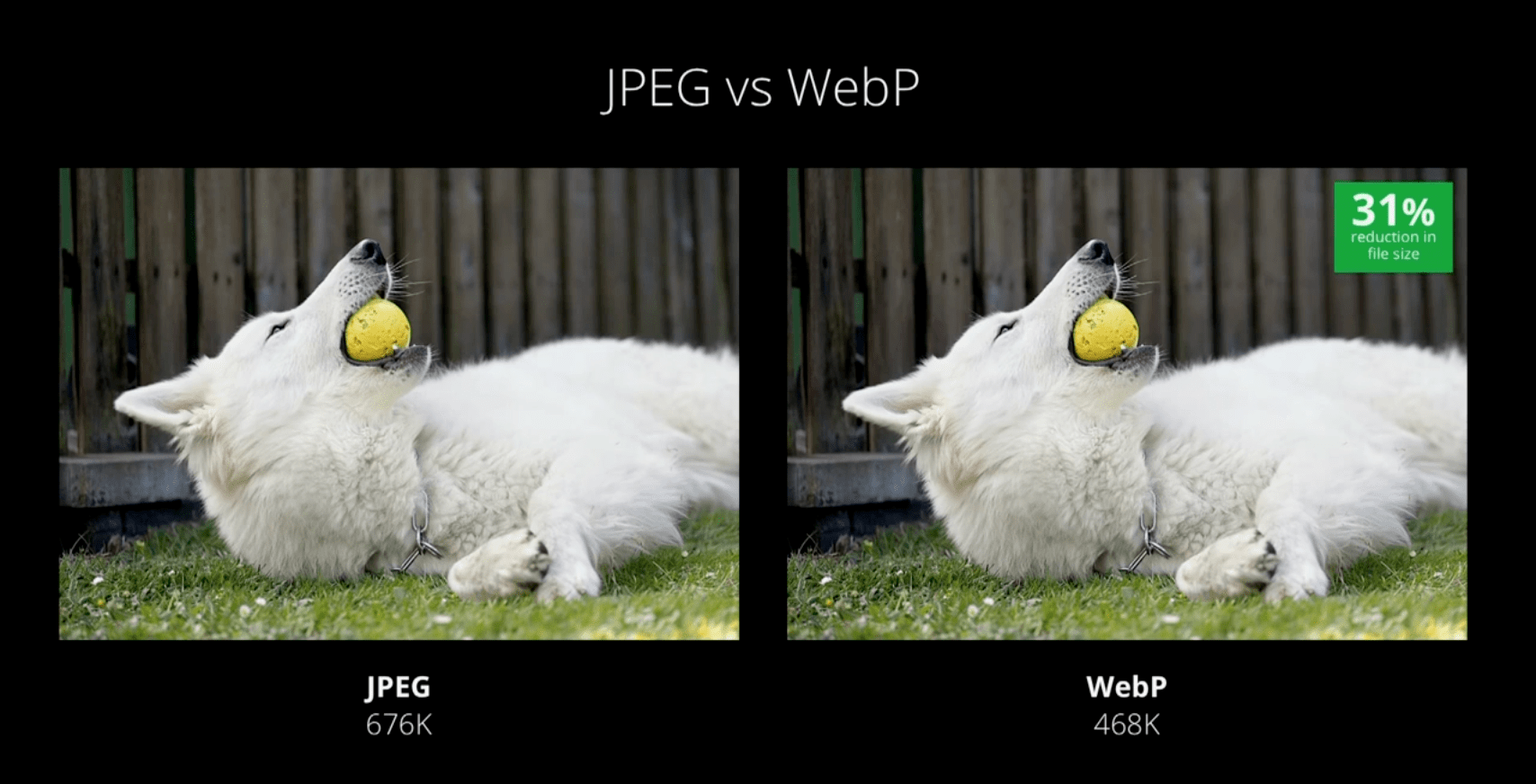Mobile-friendly WebP format will help sites load faster
