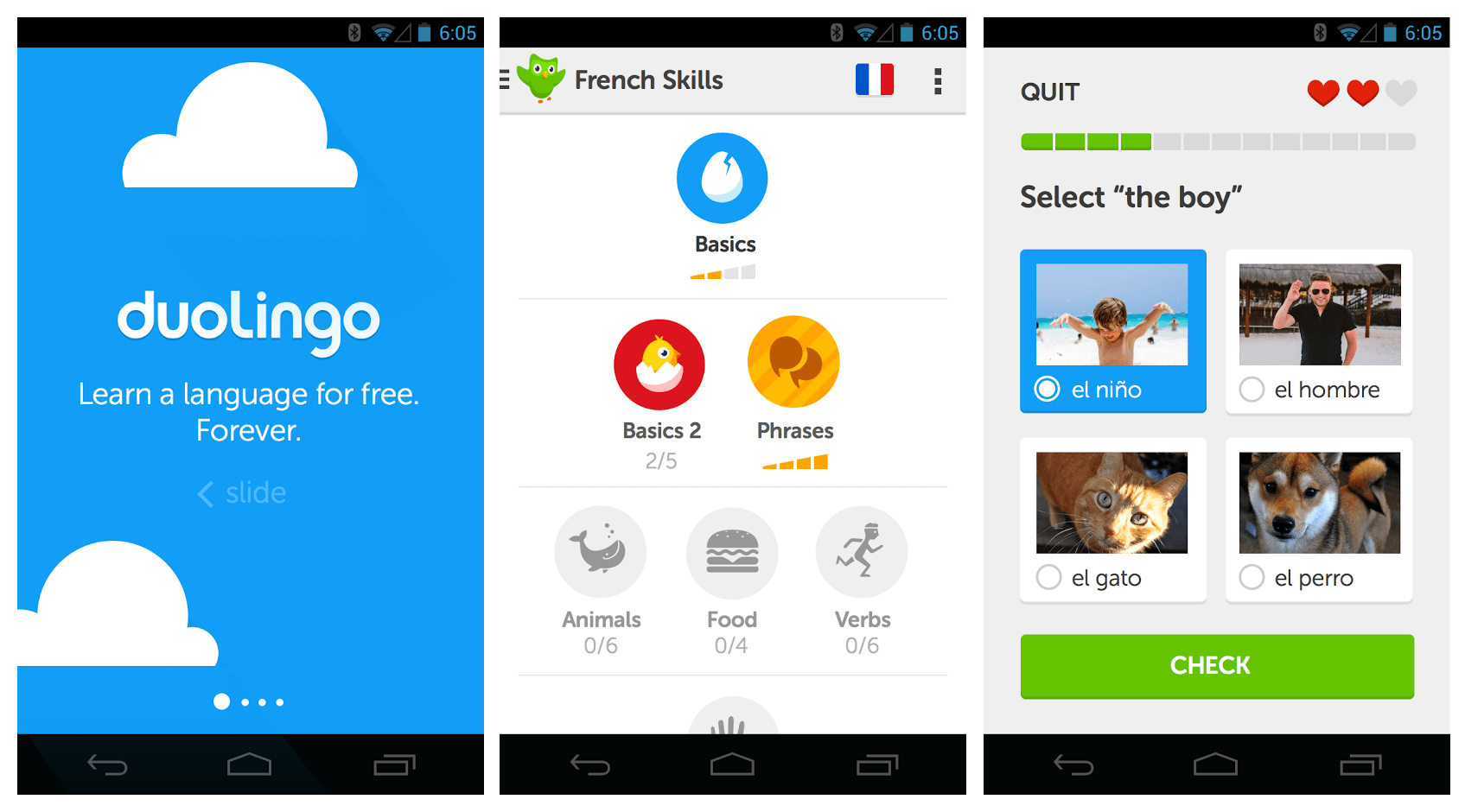 duolingo app free download