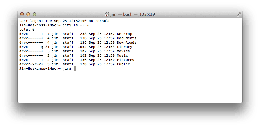 mac terminal commands for running processes