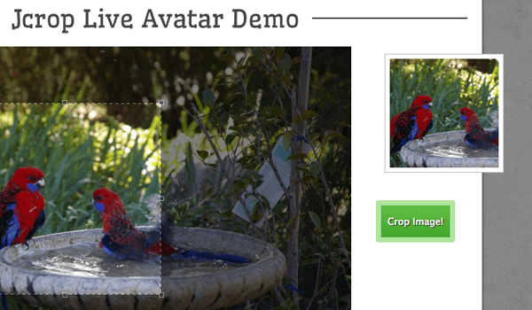 Dynamic jQuery Image Avatar Cropping Effect Treehouse Blog