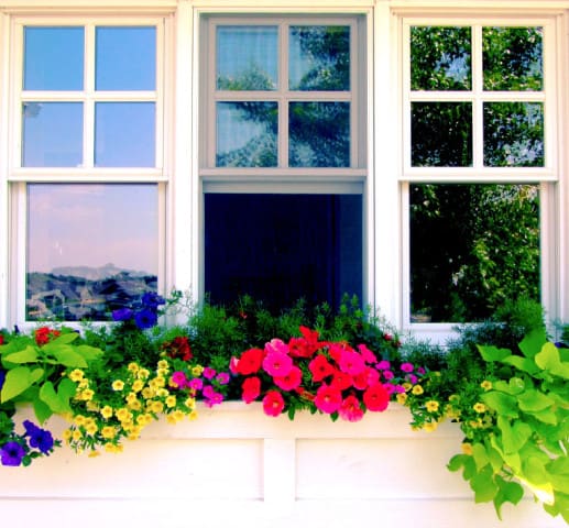 Photograph of three windows with a flower box underneath.