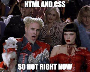 HTML and CSS: So Hot Right Now