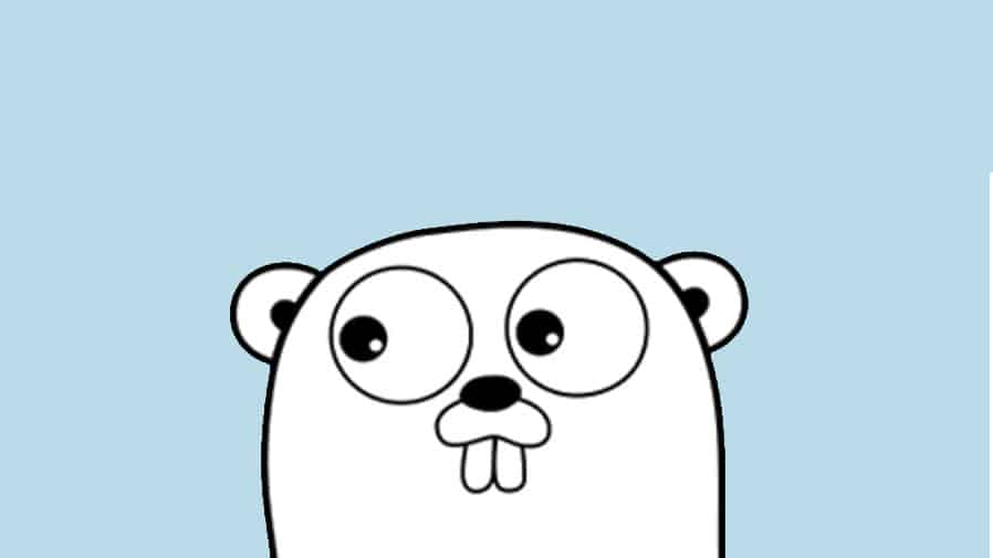 Golang os